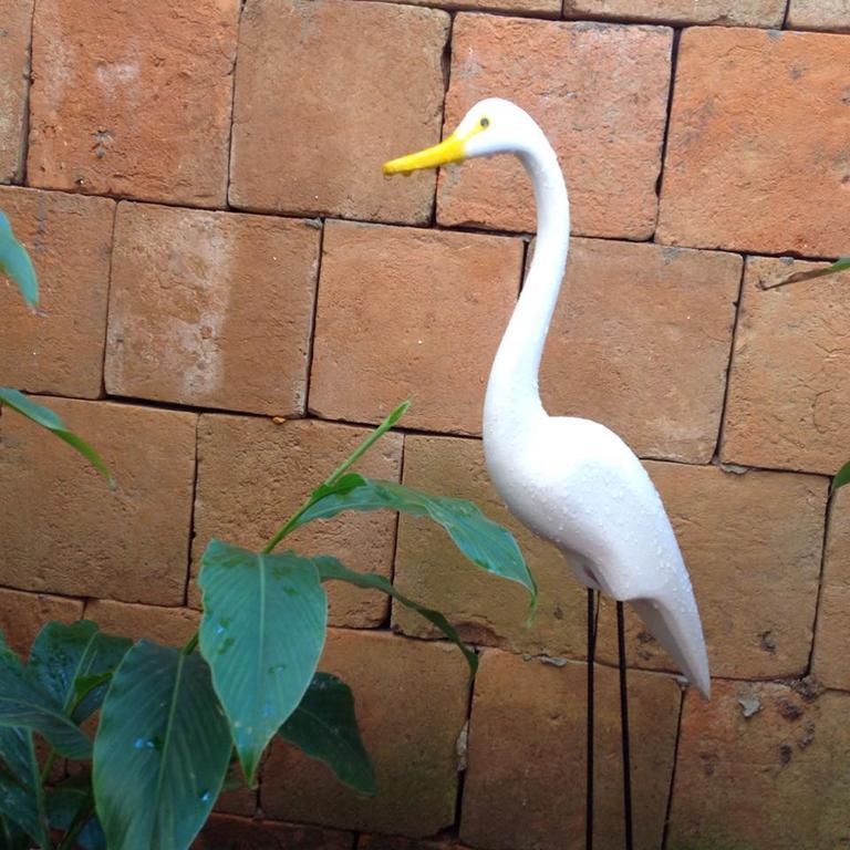Jardim Secreto Villa Morro de São Paulo Buitenkant foto